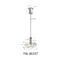 Suspended Wire Lighting Kit With Lobster Gripper Hook YW86335